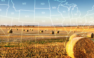 American Forage and Grassland Council